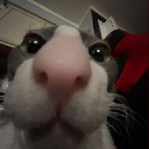 papagana avatar