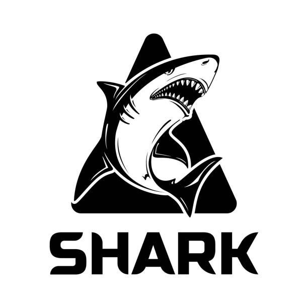 Shark TeamGG