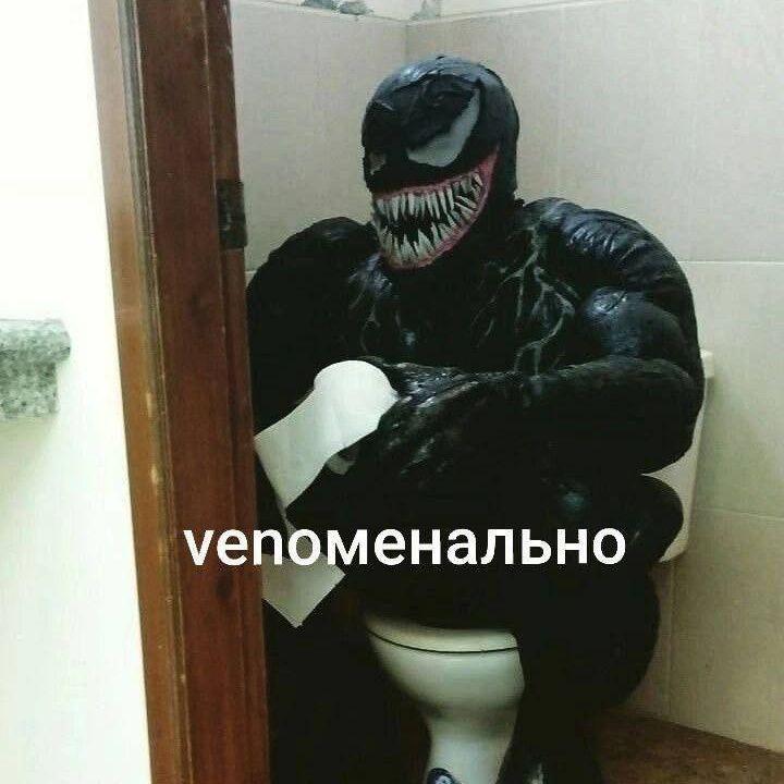 SolosSkiner avatar