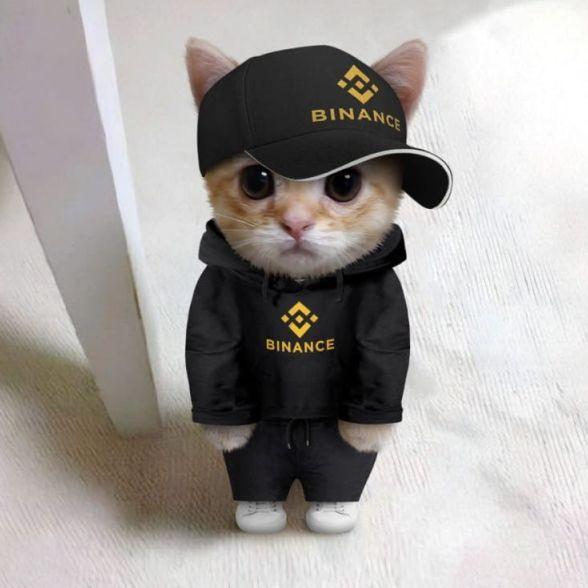 kirill280hz avatar