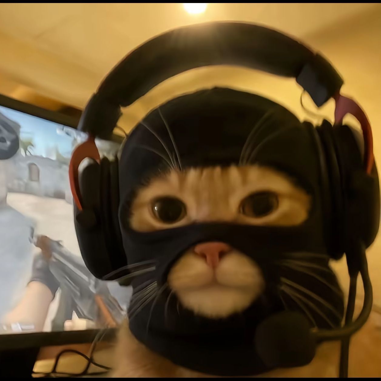 andreisport1