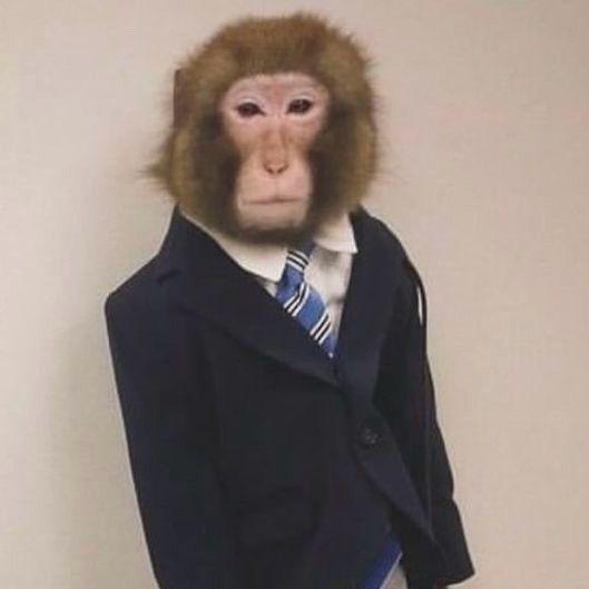 APES228229