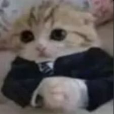 Bebispungen