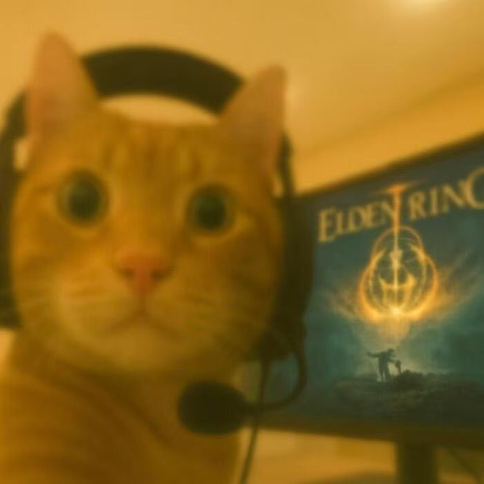 yianeyda avatar