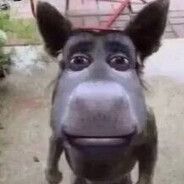 RP-