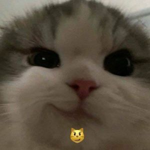 antonloveyou