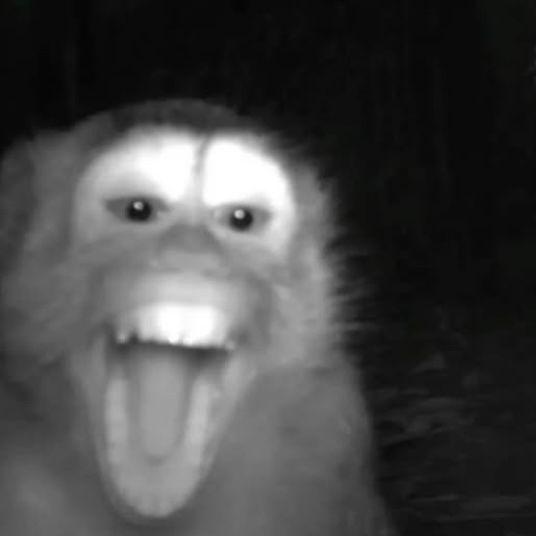 zamoro4ilsya