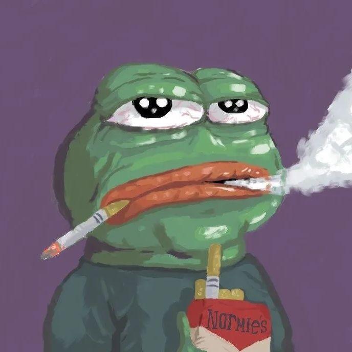 darkfrogins avatar