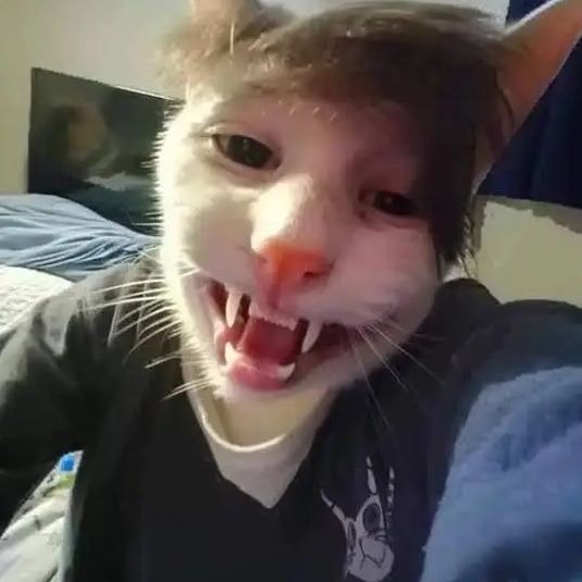 Faceit Avatar