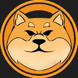 team_Stonnit