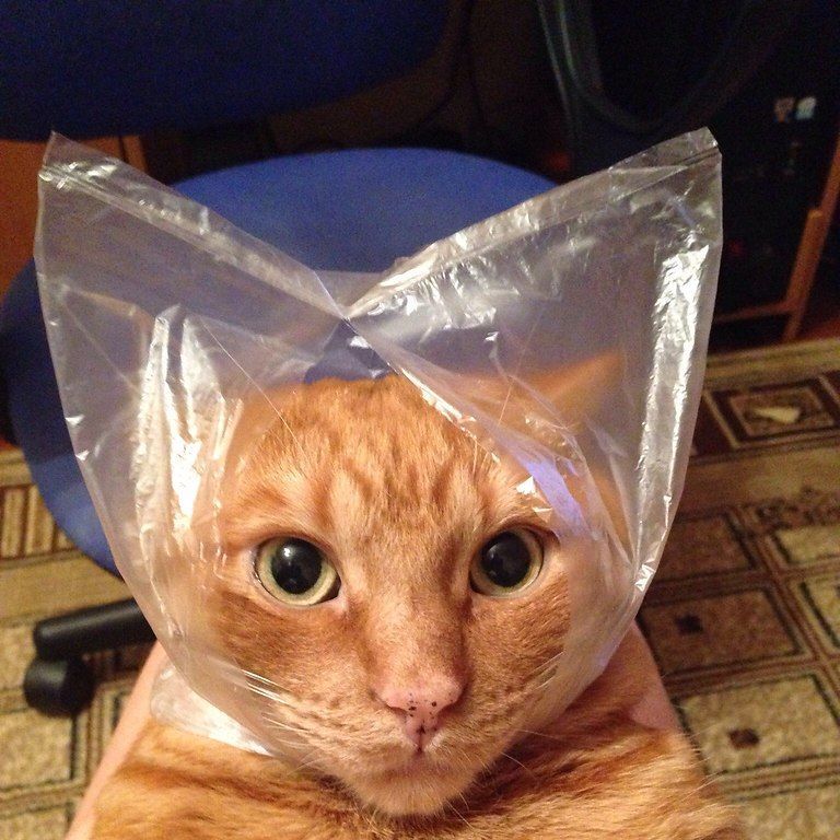 LOKSTI