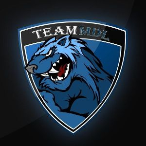 MDL TEAM