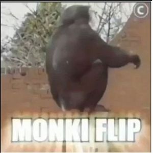 Monki