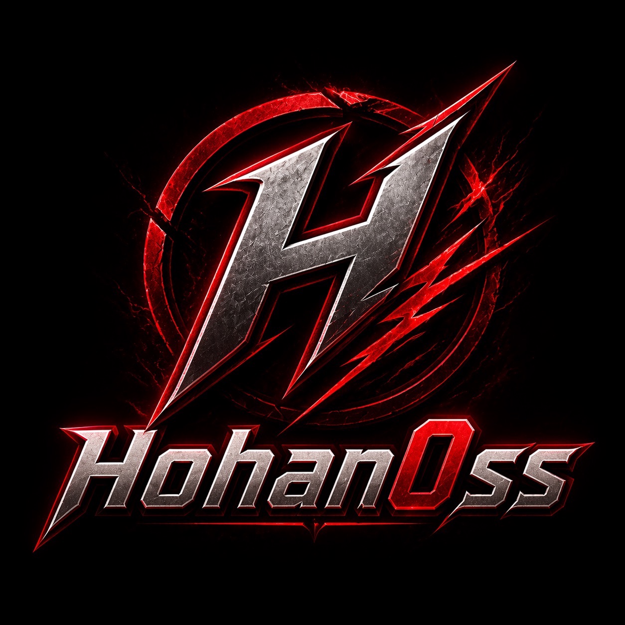 team_hohan0ss