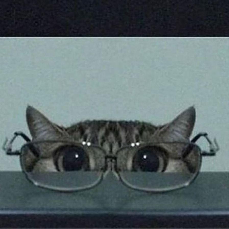Karmaif avatar