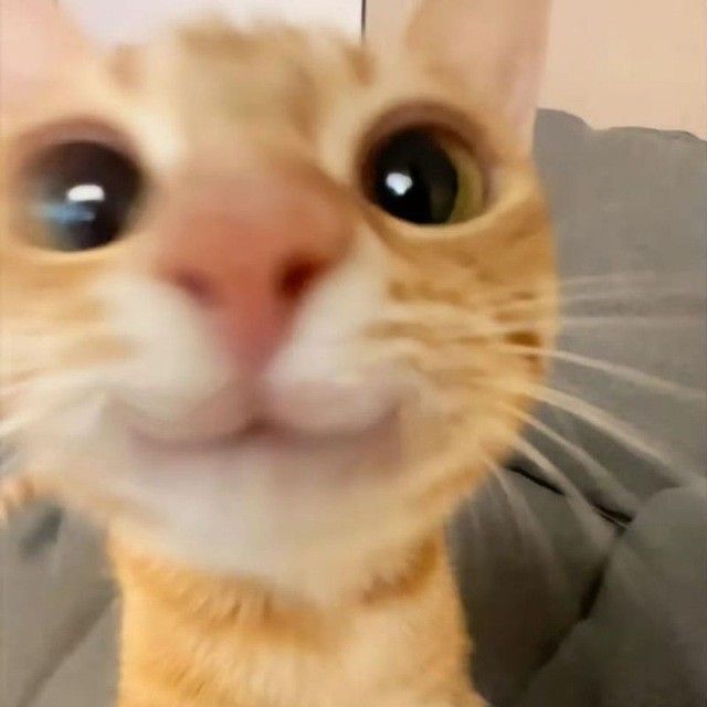 MILLI
