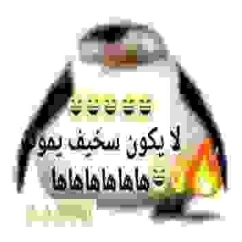team_skxdi-