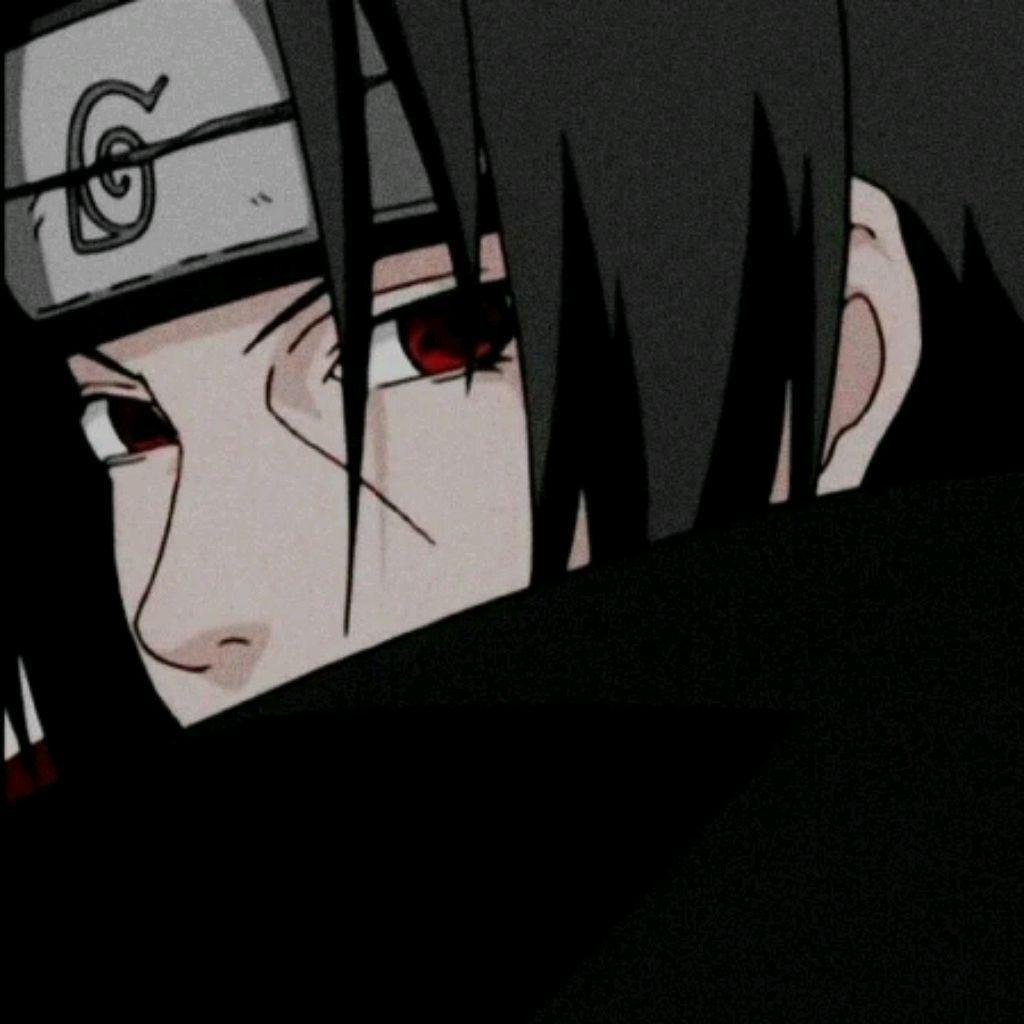 neeekkooo avatar