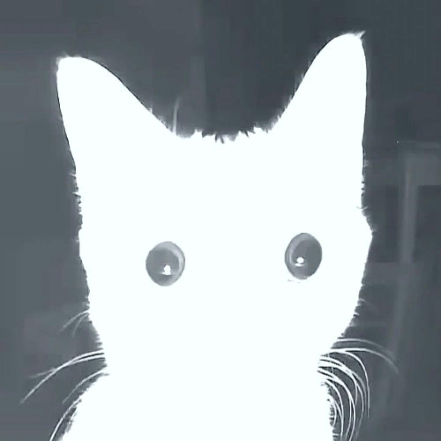 Coach_White avatar