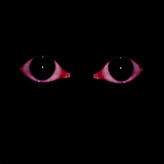 Antishka avatar