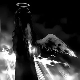 stayim666