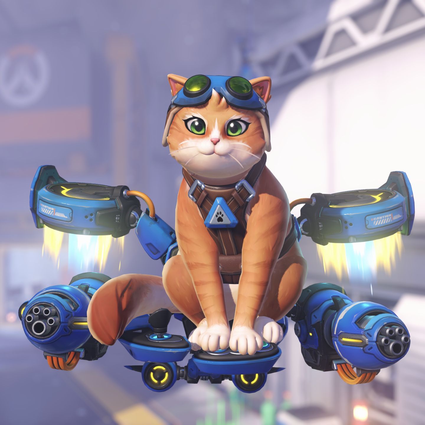 team_waowaowaowao