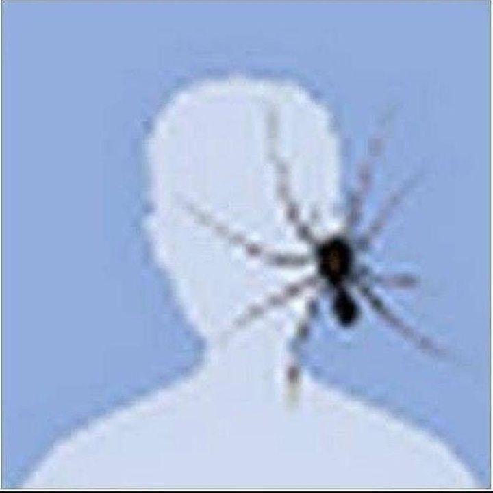 evanescences avatar
