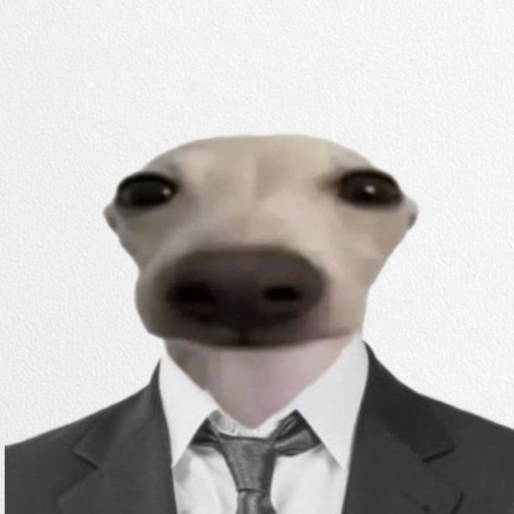dikkiiy