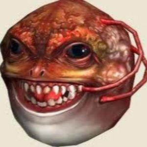 Player ginoboy avatar