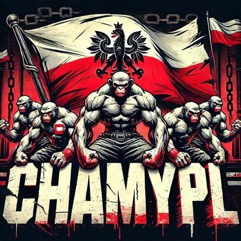 ChamyPL