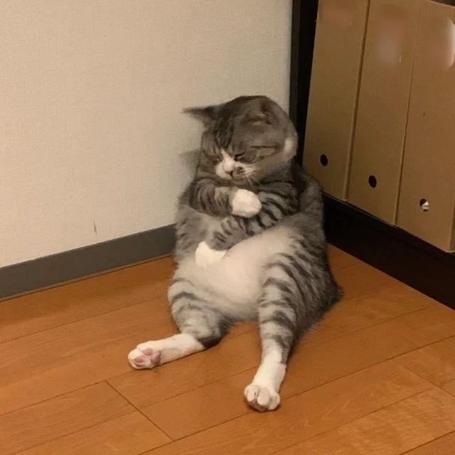 Kebub1