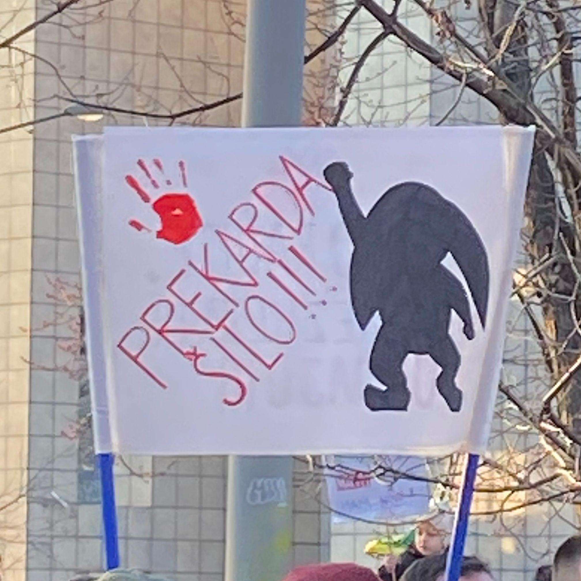 dzokaaa avatar