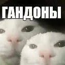 rykablooood