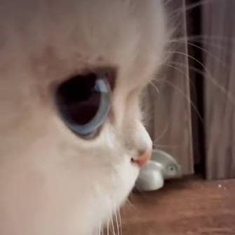 ___MARSI___