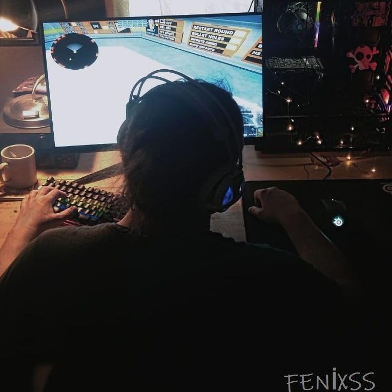 Player fEnixss avatar