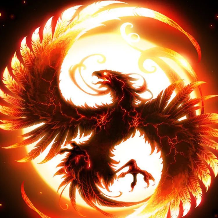 krenq-_- avatar