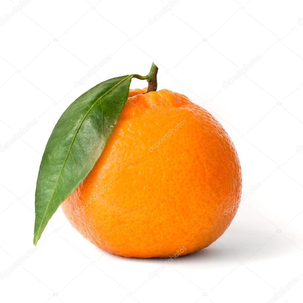 xenonov