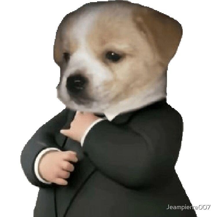 BEDN4 avatar