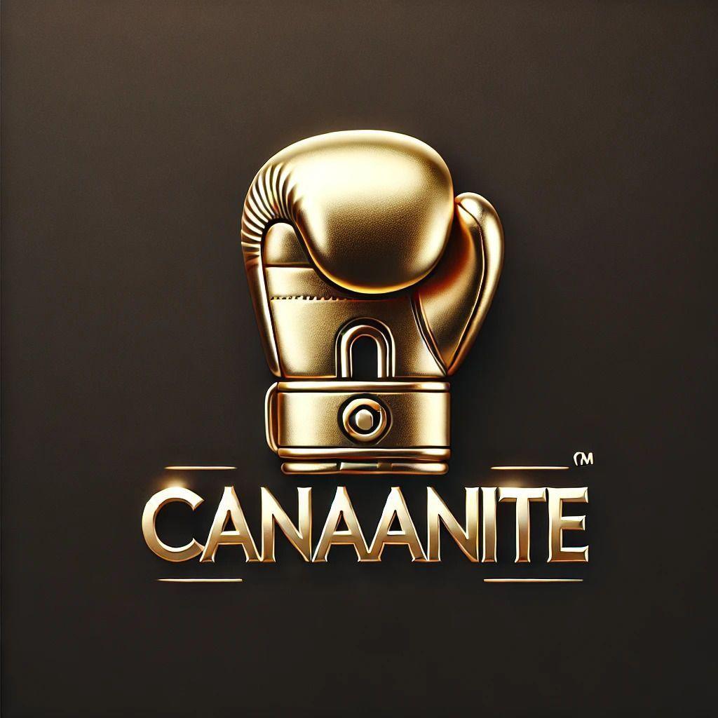 Canaanit3