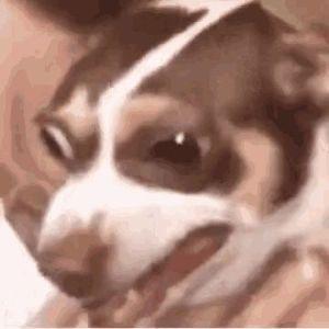 8yM3R avatar