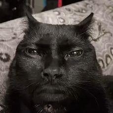 pon4ikXDo