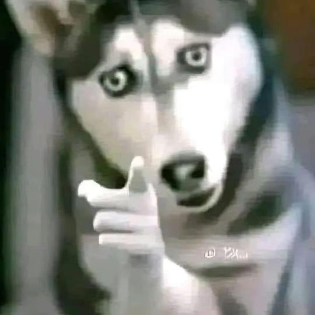 qwizyan avatar