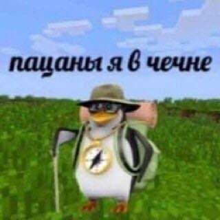 L1mLyySKR avatar