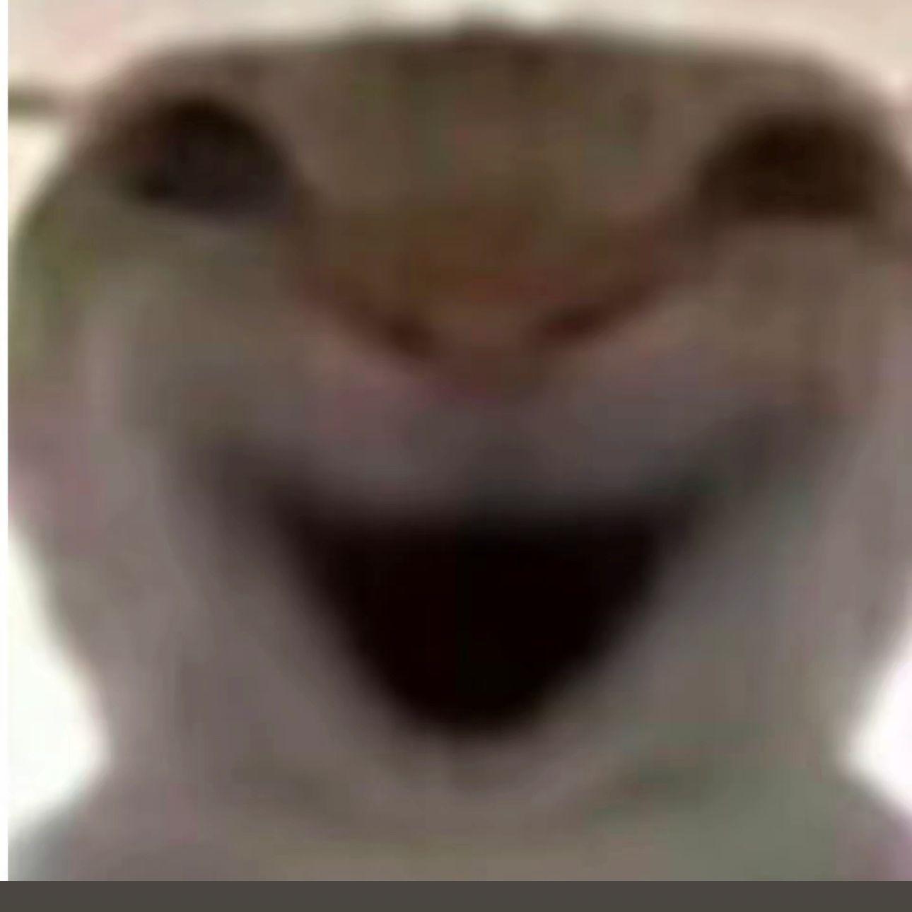 Huskiki avatar