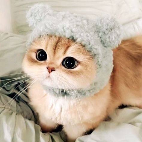 humancosplay