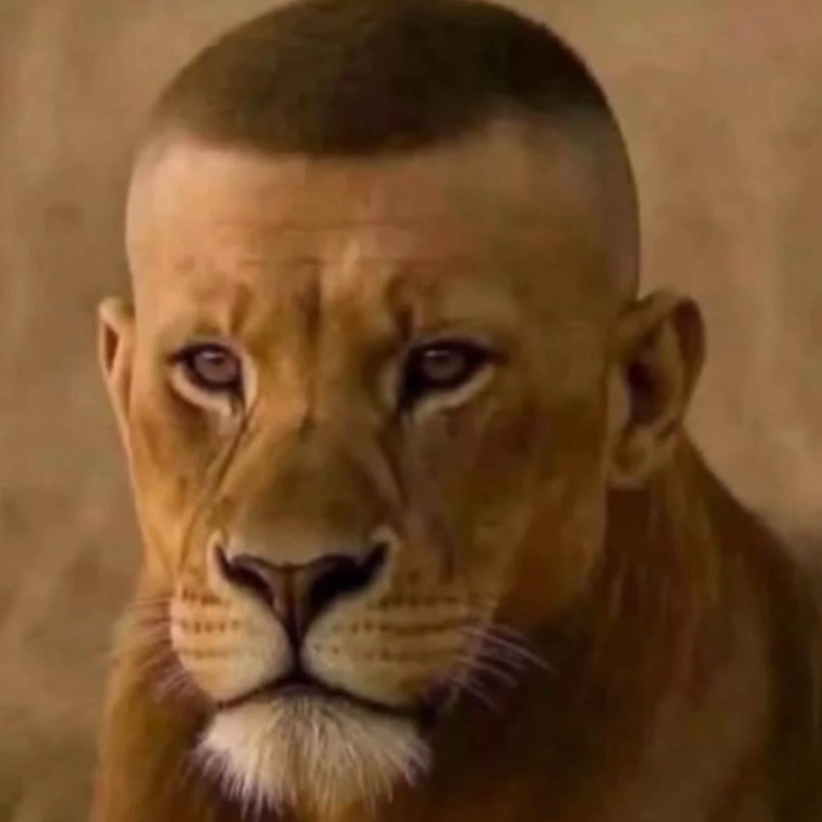 _toGo avatar