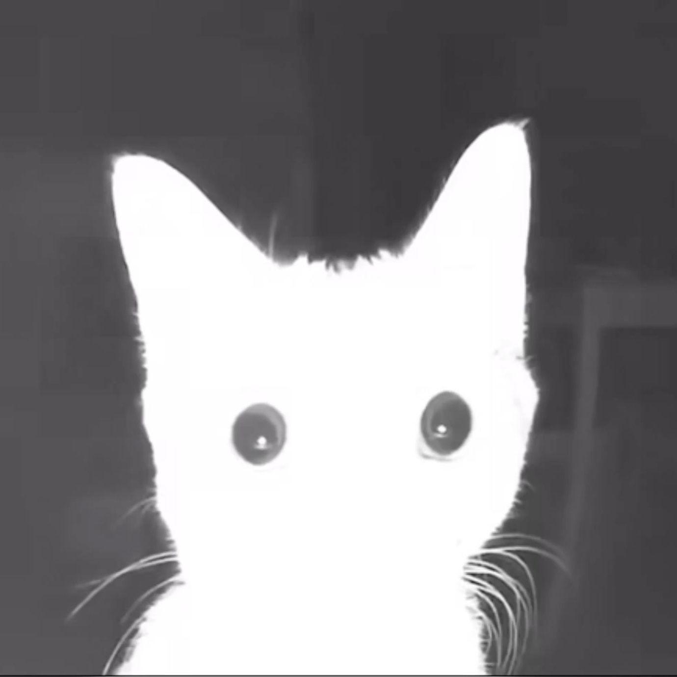 ar1ma9 avatar