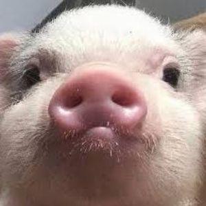 Skl1zit avatar