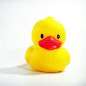 Player ducky3004 avatar