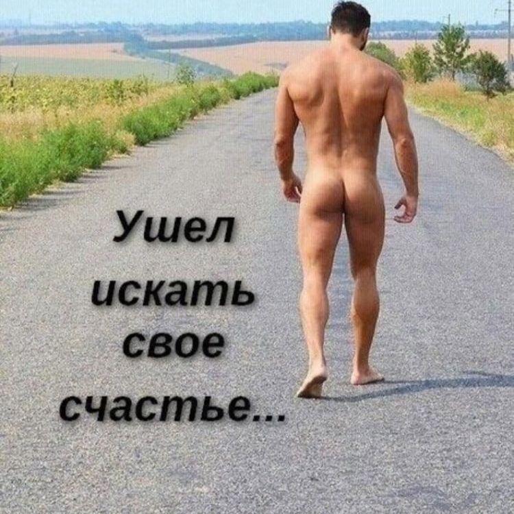 LjeDed